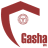 Gasha VPN