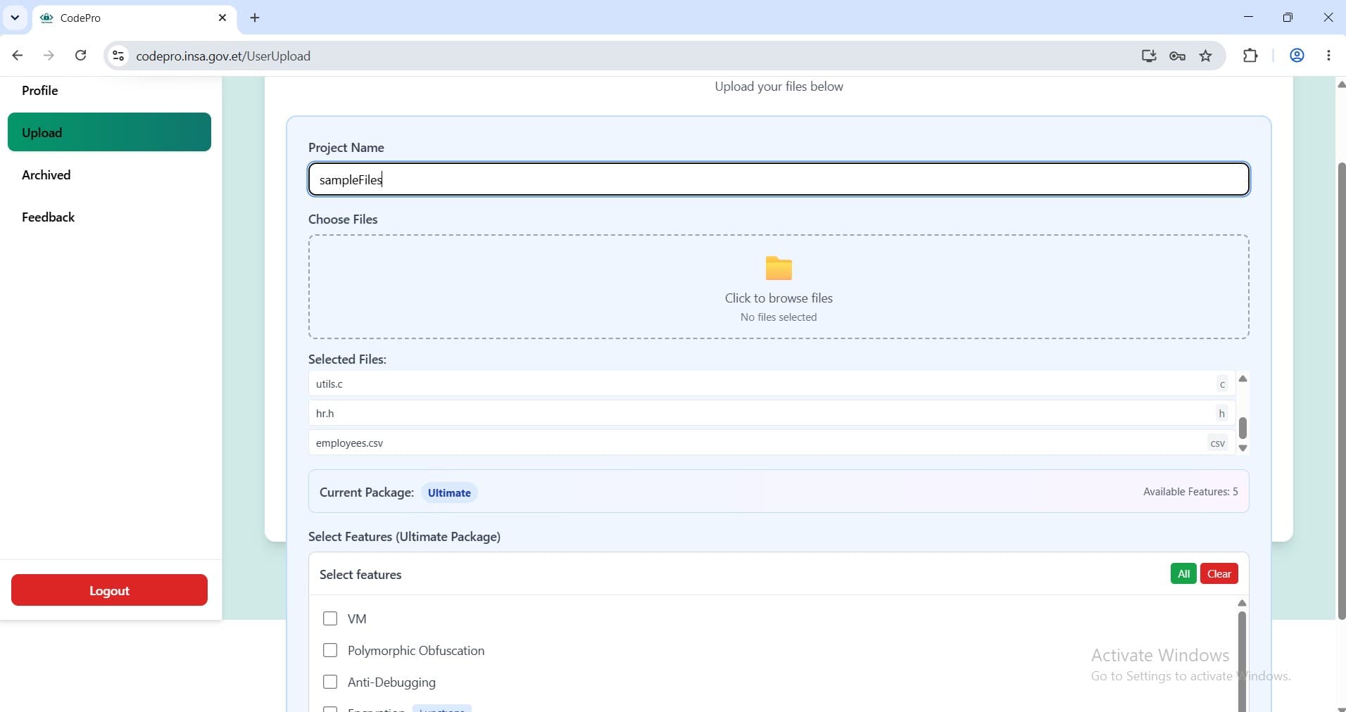 CodePro Protection interface
